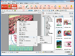 楽々はがき2011 デラックス