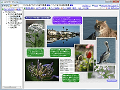 Let'sフォトアルバム