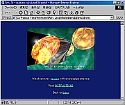 これはAnfy3Dというアプレットのデモ画面